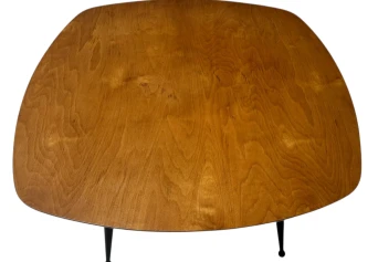Mid-Century Modern TB16 Coffee Table by Cees Braakman for Pastoe, 1953